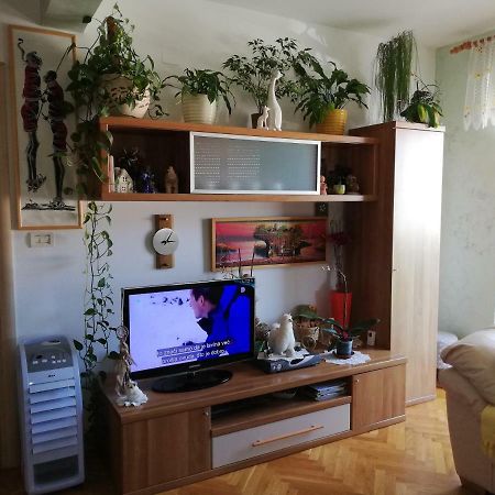 Cuore Di Umago Εξωτερικό φωτογραφία